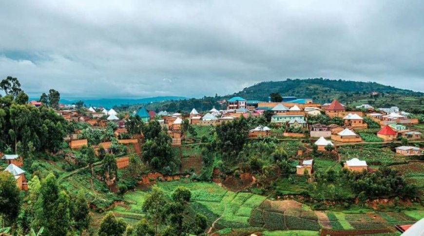 Bahangayikishijwe n'inyeshyamba z'Abanyarwanda zirirwa zizenguruka aho batuye