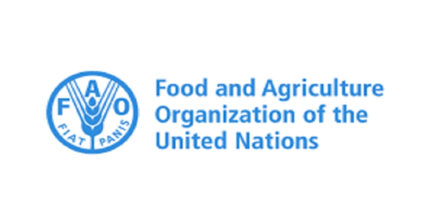 Imyanya itatu(3) y'akazi muri  Food and Agriculture Organization: (Deadline 26 March 2024)