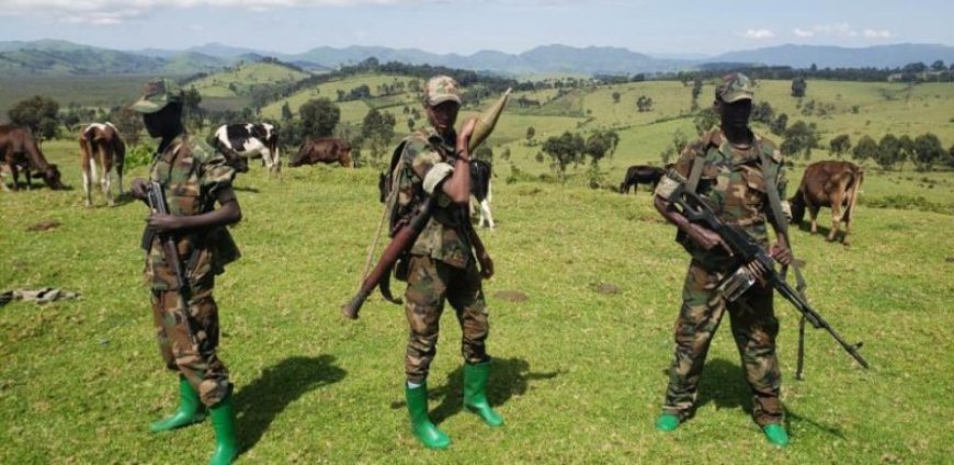 Hamenyekanye Ikindi kibazo gikomeye cyane cyatejwe n’intambara ya M23 na FARDC