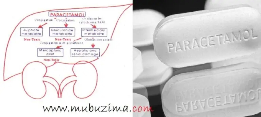 Wari uziko umuti wa Paracetamol ushobora kurangiza ubuzima bwawe utabizi ? Sobanukirwa