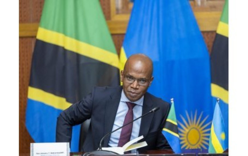 Tanzania: Minisitiri Makamba yavuganye na Nduhungirehe wahawe inshingano nshya