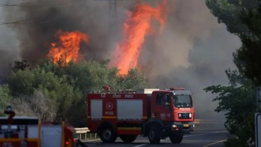 Ibisasu byinshi biravuza ubuhuha muri Israel