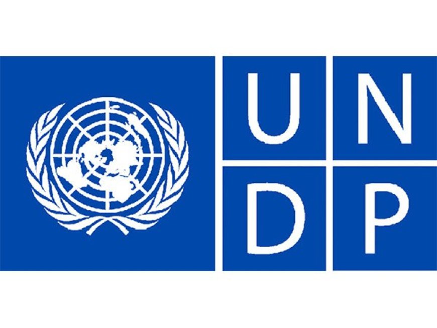 Driver at United Nations Development Programme -Rwanda | Kigali (Deadline: 27-08-2024)