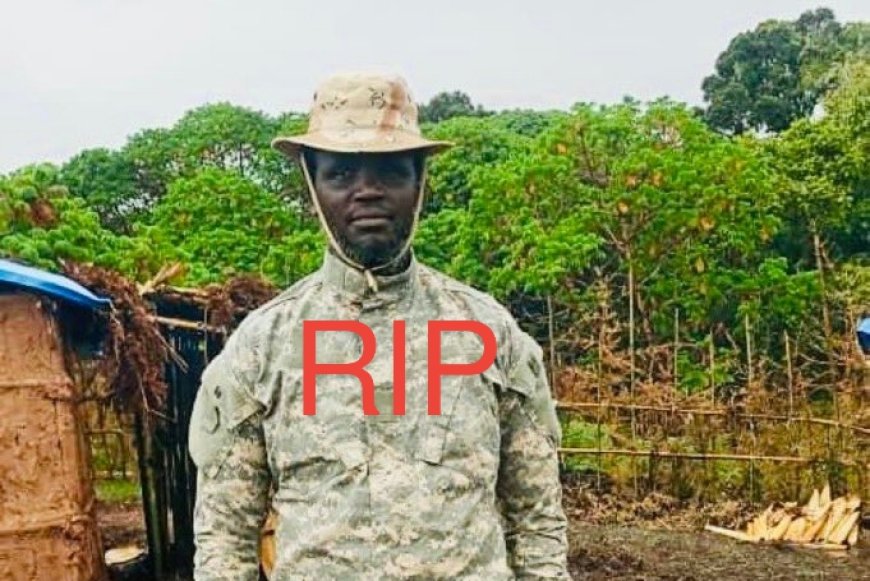 RIP Col Makanika; FARDC yahitanye Col Makanika uyobora umutwe wa Twirwaneho