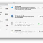 A screenshot of the macOS Storage Management window showing recommendations like "Store in iCloud" and "Reduce Clutter" Mac System