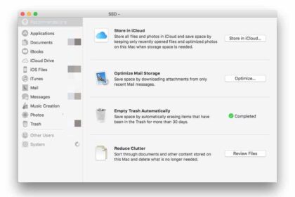 A screenshot of the macOS Storage Management window showing recommendations like "Store in iCloud" and "Reduce Clutter" Mac System
