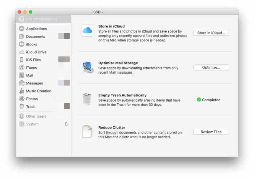 A screenshot of the macOS Storage Management window showing recommendations like "Store in iCloud" and "Reduce Clutter" Mac System