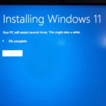 A screenshot of the Windows 11 Update screen, with the "Check for updates" button clearly highlighted.