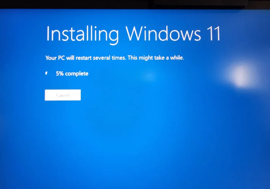 A screenshot of the Windows 11 Update screen, with the "Check for updates" button clearly highlighted.