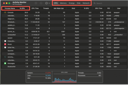 A screenshot of the Activity Monitor on a Mac, showing how to check Mac system performance. The CPU tab is active, with processes sorted by the "% CPU" column to easily identify resource-intensive applications.